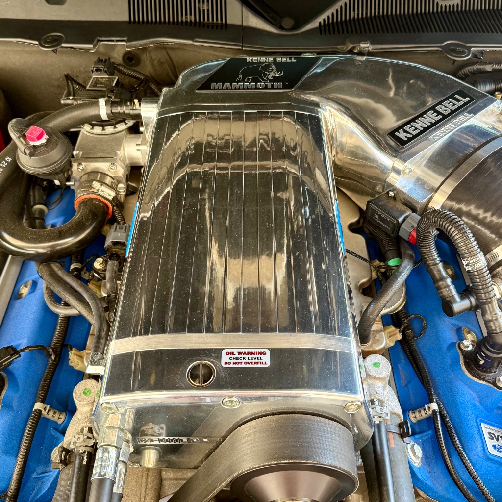 2013 Ford Mustang Shelby GT500 - Photo 15